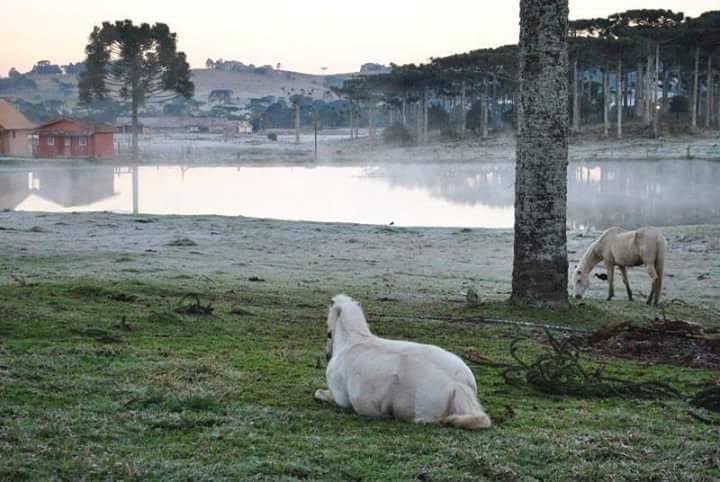 Refugio Do Lago Hotell Lages Exteriör bild